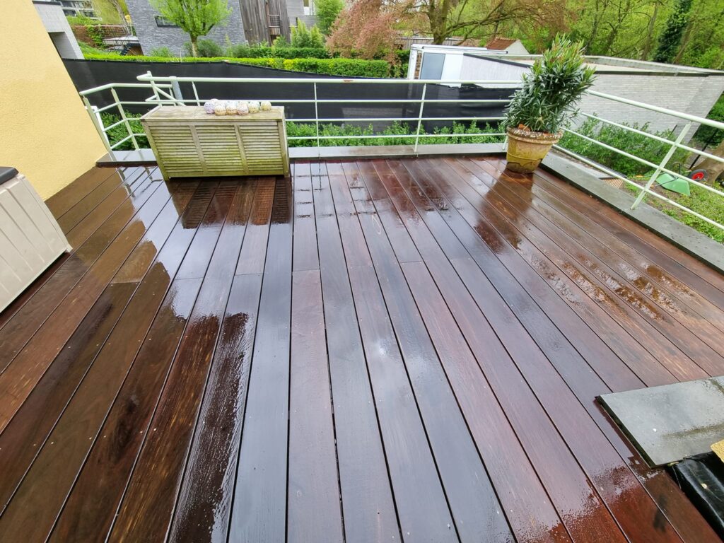 381404241_275324155446017_1900050631223009541_n